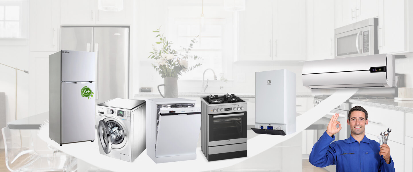 Kilimli Dyson Servisi